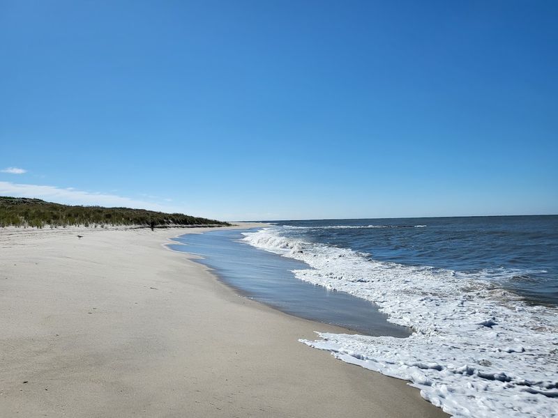 Pearl Beach - Cape May Point Pearl Beach - Cape May Point