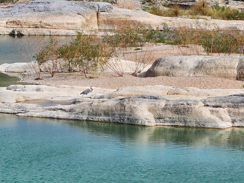 Pedernales Falls State Park (Johnson City) Pedernales Falls State Park (Johnson City)