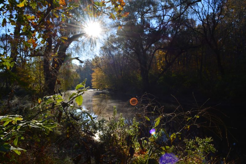 Pequest River Pequest River