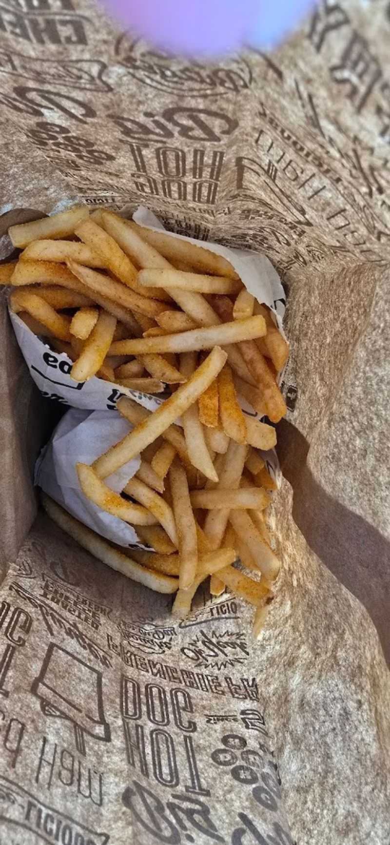 Perfectly Seasoned Fries That Steal the Show Perfectly Seasoned Fries That Steal the Show