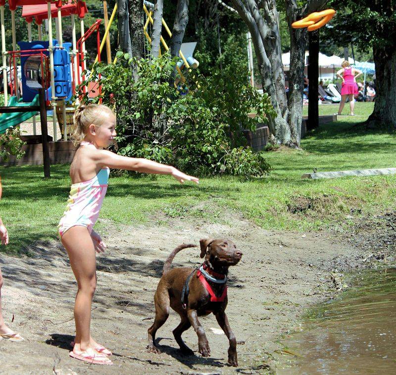 Pet Beach At Keen Lake Camping And Cottage Resort, Waymart, Pennsylvania