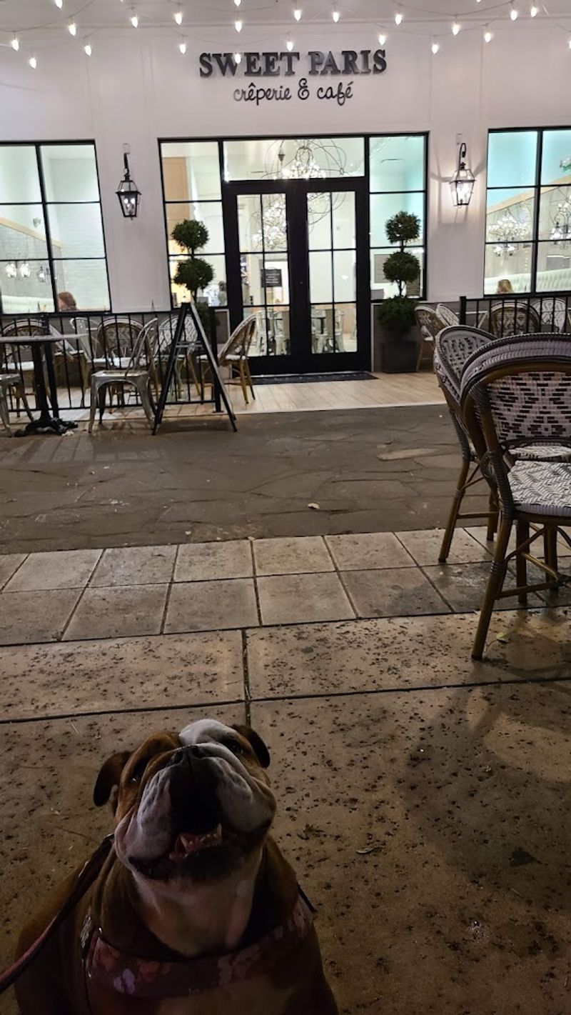 Pet-Friendly Policies That Welcome Four-Legged Shoppers Pet-Friendly Policies That Welcome Four-Legged Shoppers