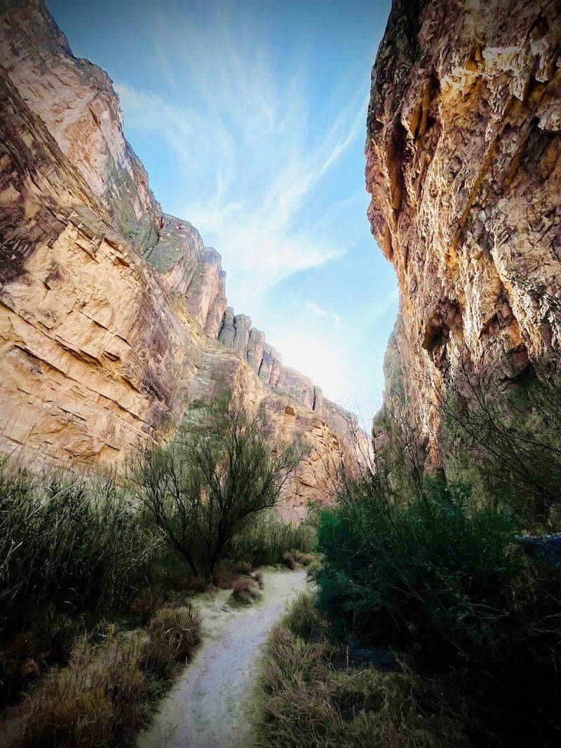 Photography Gold Mine Photography Gold Mine
