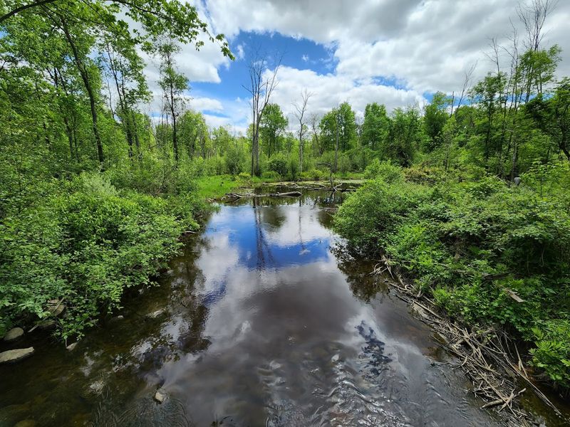 Photography Opportunities Hidden Across the Whole Property