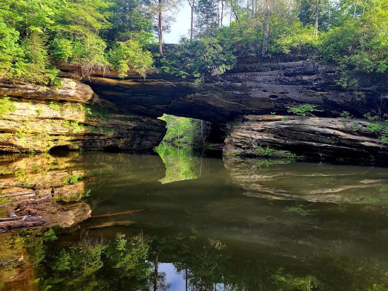 Pickett CCC Memorial State Park — Jamestown