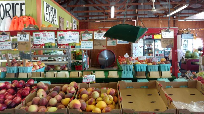 Pies, Cider, Donuts, and Local Specialties Go Beyond the Farm Fields Pies, Cider, Donuts, and Local Specialties Go Beyond the Farm Fields