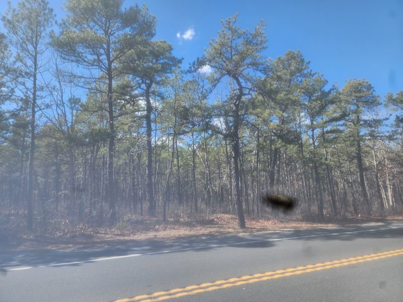 Pine Barrens Scenic Byway