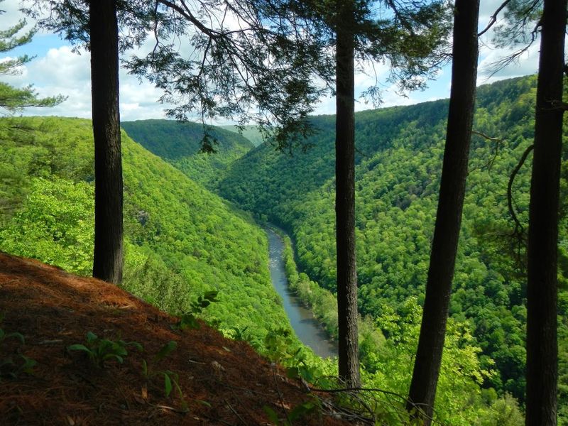 Pine Creek Pine Creek