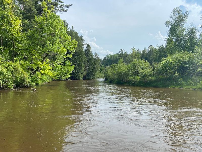 Pine River Pine River