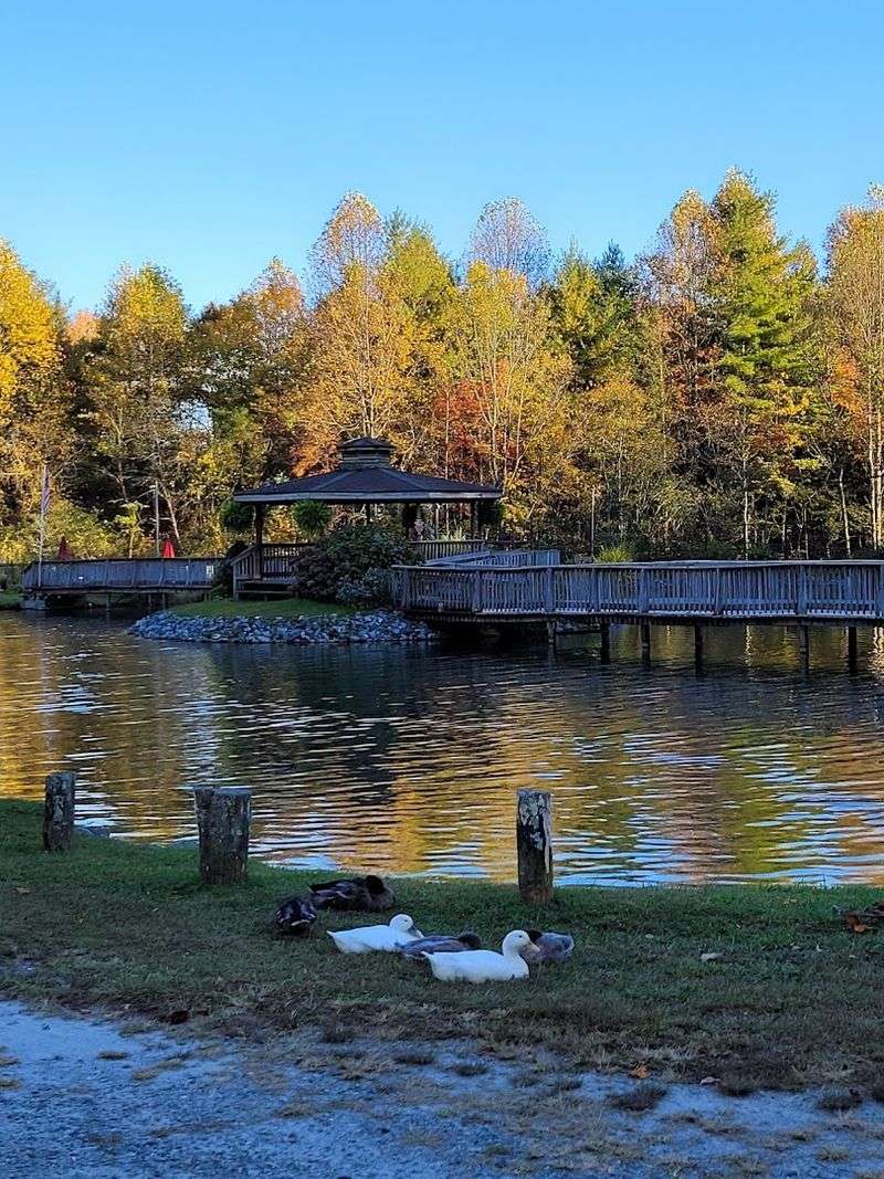 Pisgah's Edge Gives Brevard a Beautiful Setting for Wildlife Pisgah's Edge Gives Brevard a Beautiful Setting for Wildlife