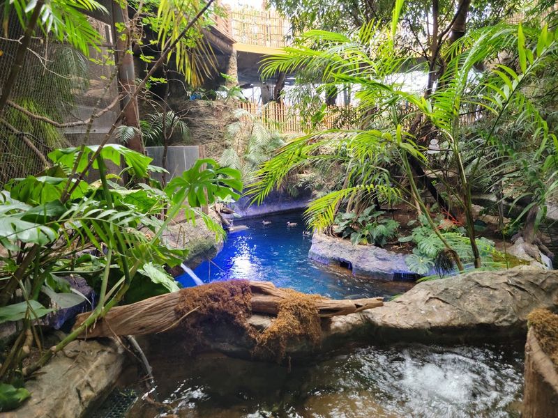 Plan For Heat And Humidity Inside This Tropical Environment Plan For Heat And Humidity Inside This Tropical Environment