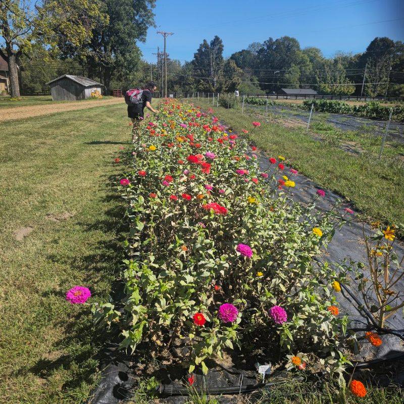 Plan Your Visit For A Relaxing Day In Joelton Plan Your Visit For A Relaxing Day In Joelton