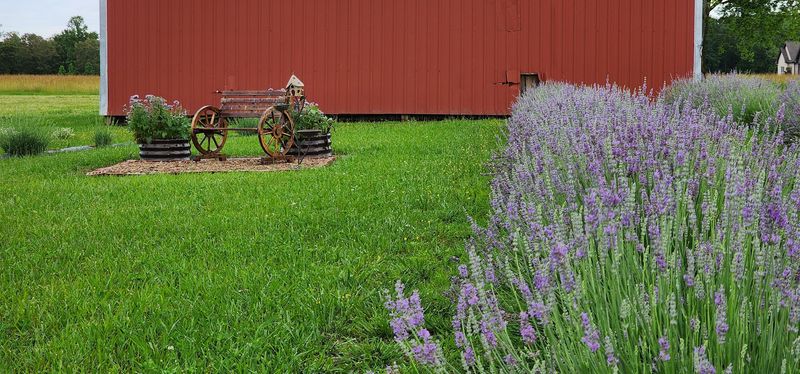 Plan Your Visit to This European-Inspired Tennessee Gem Plan Your Visit to This European-Inspired Tennessee Gem