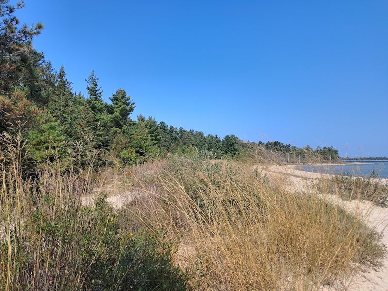 Planning Your Visit to Besser Natural Area in Presque Isle, Michigan