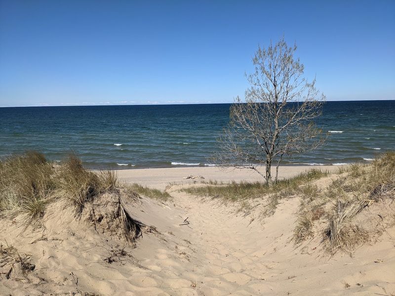 Planning Your Visit to Saugatuck Dunes in Michigan