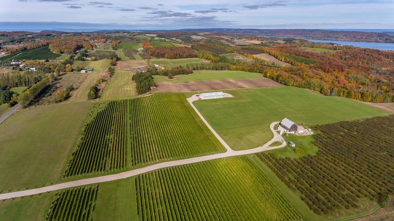 Planning Your Visit to This Cedar, Michigan Gem