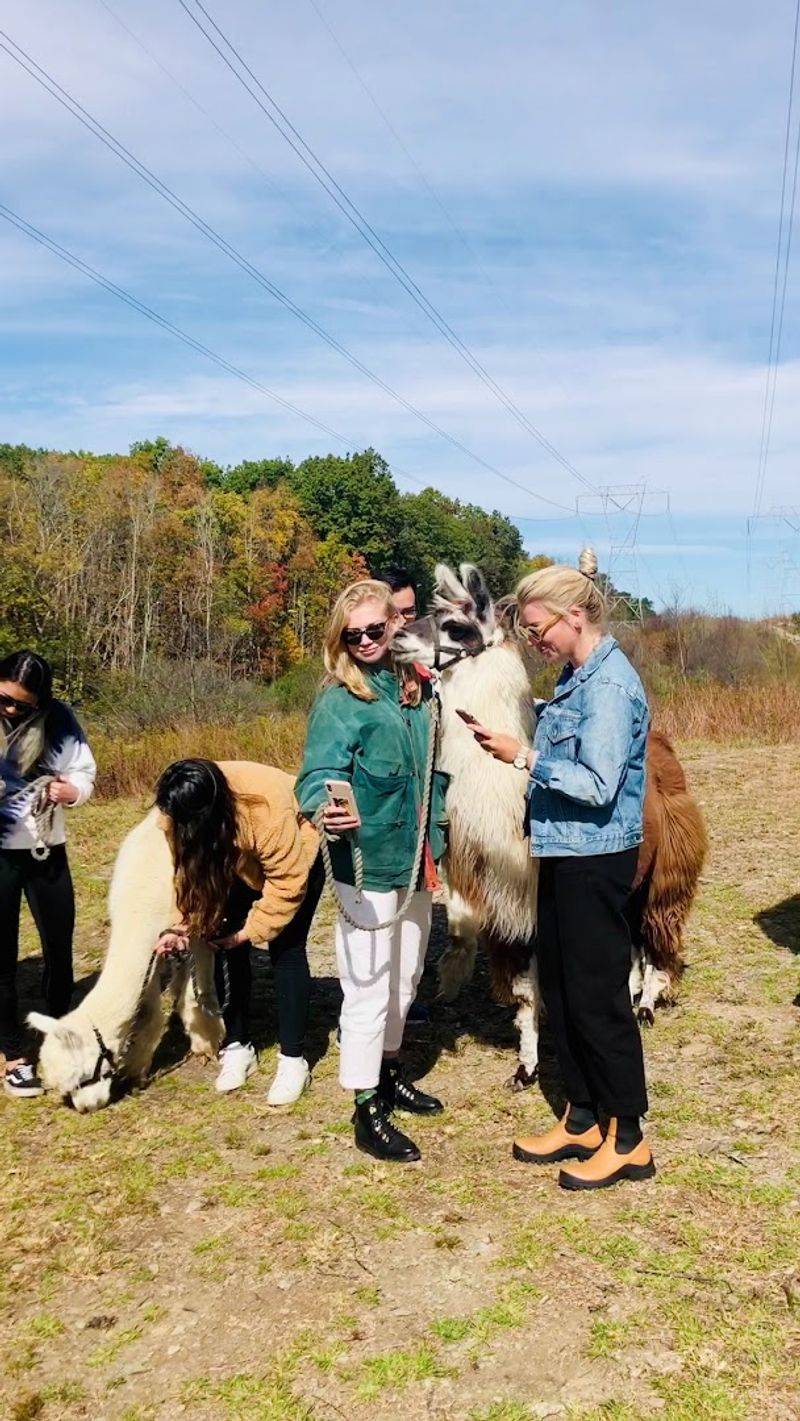 Planning your visit to Clover Brooke Farm