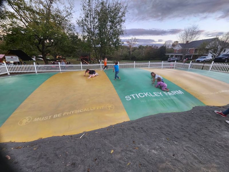 Plenty of Activities Keep Kids Entertained Plenty of Activities Keep Kids Entertained