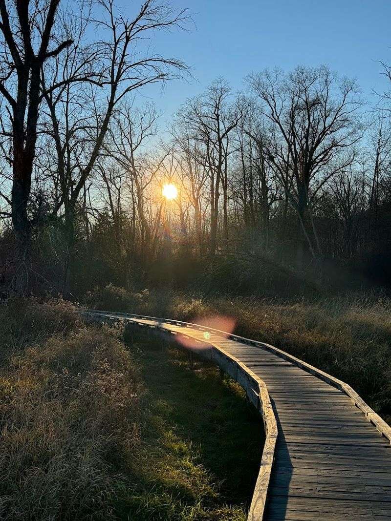 Pochuck Boardwalk and Stairway to Heaven — Vernon Pochuck Boardwalk and Stairway to Heaven — Vernon
