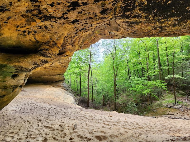Pogue Creek State Natural Area, Jamestown
