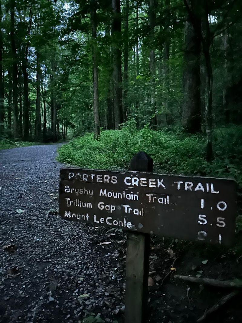 Porters Creek Trail — Great Smoky Mountains National Park Porters Creek Trail — Great Smoky Mountains National Park