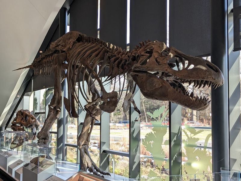 Prehistoric Displays That Stop You In Your Tracks Prehistoric Displays That Stop You In Your Tracks