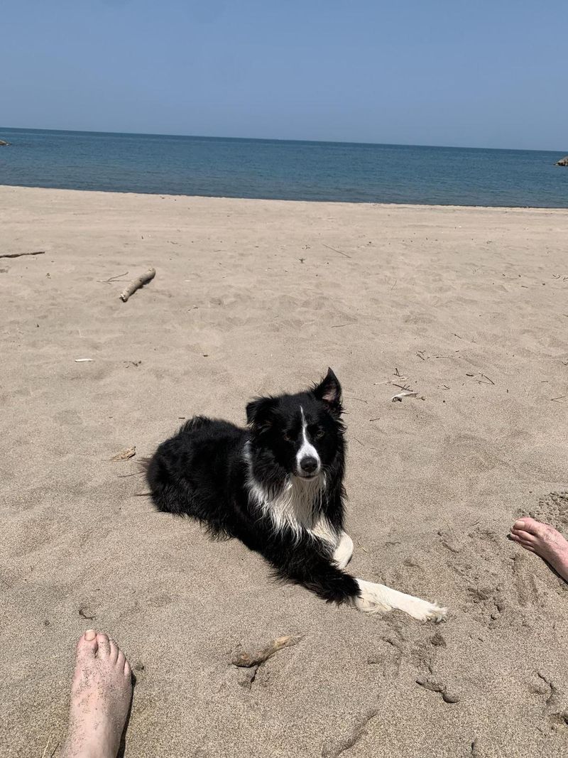 Presque Isle State Park, Erie, Pennsylvania