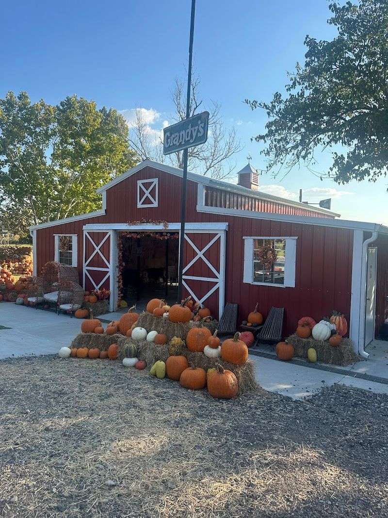 Pumpkin Patch And Photo Spots Pumpkin Patch And Photo Spots