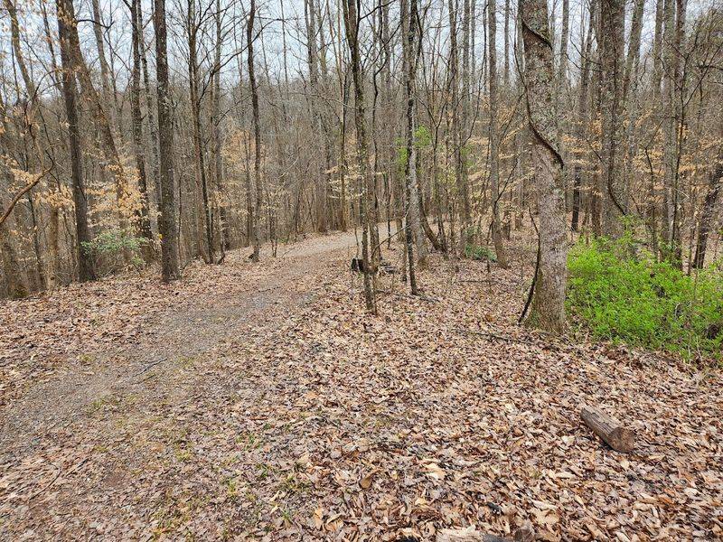 Caney Creek Wildlife Management Area Caney Creek Wildlife Management Area