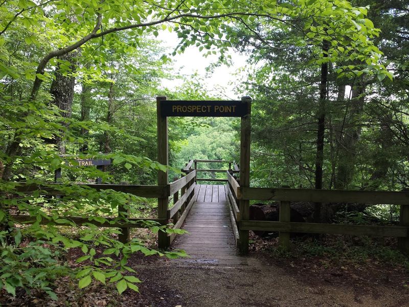 Why It Stays Quieter Than Its Famous Neighbor