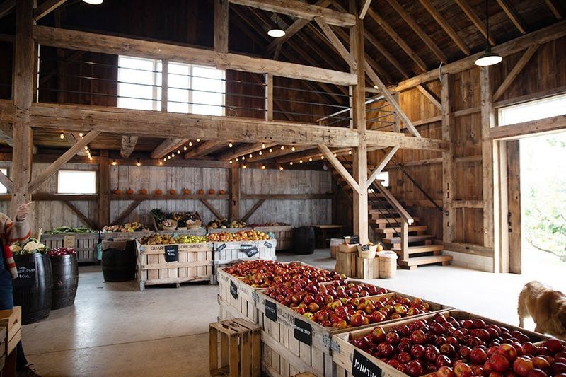 Quarry Hill Orchards - Berlin Heights, Erie County Quarry Hill Orchards - Berlin Heights, Erie County