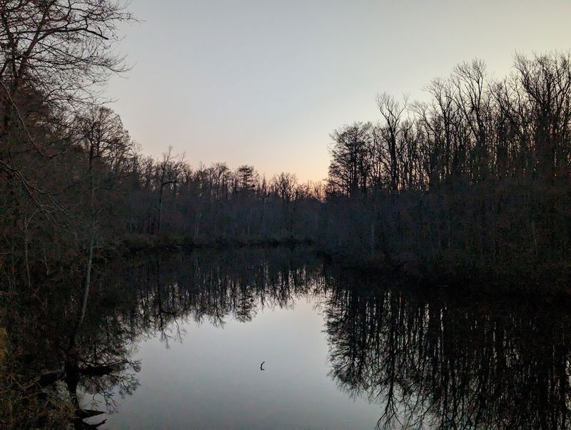 Quiet River Nights Help You Truly Unplug Quiet River Nights Help You Truly Unplug