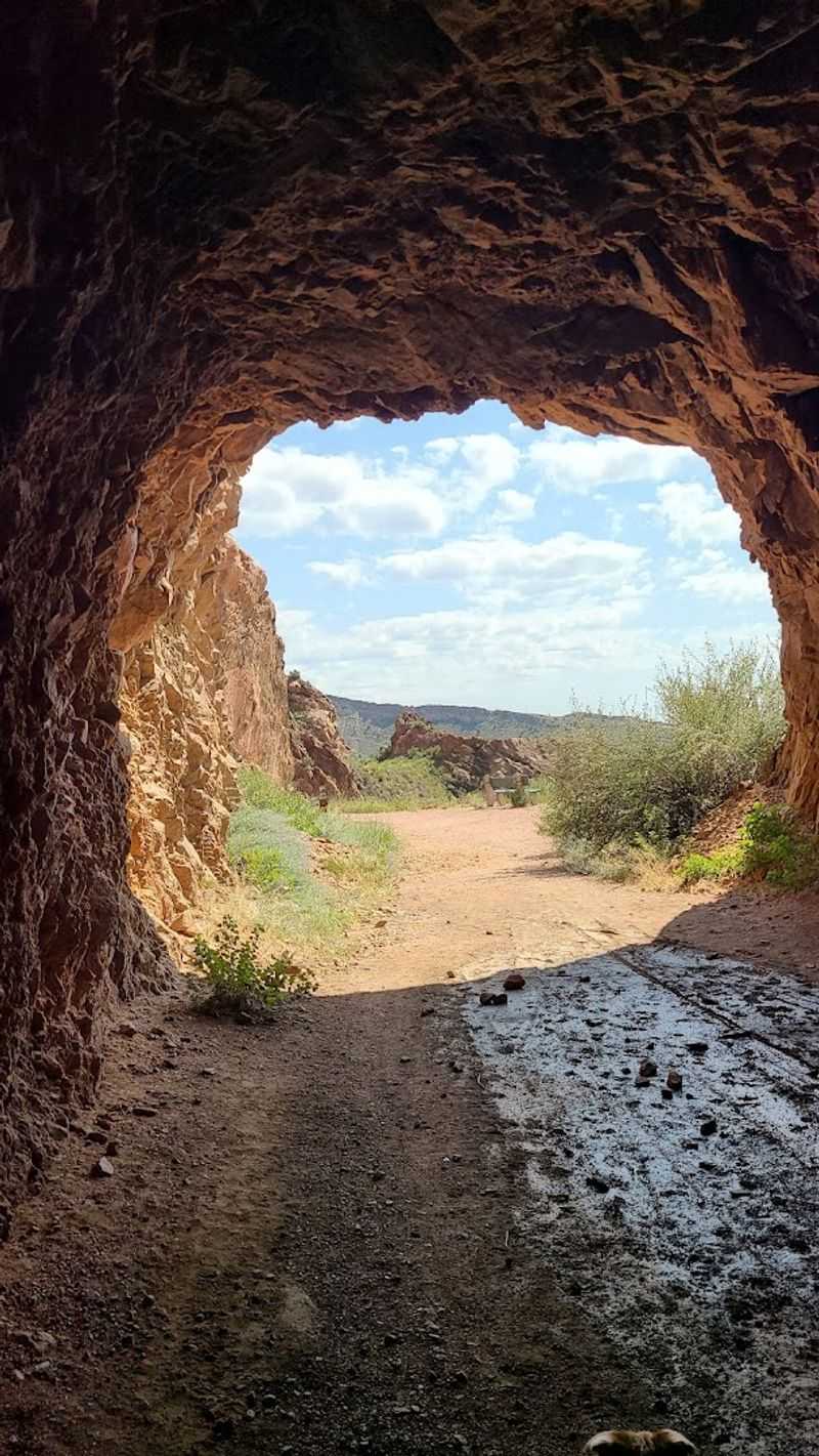Colorado Heat, Cactus Edges, and the Texture of Summer