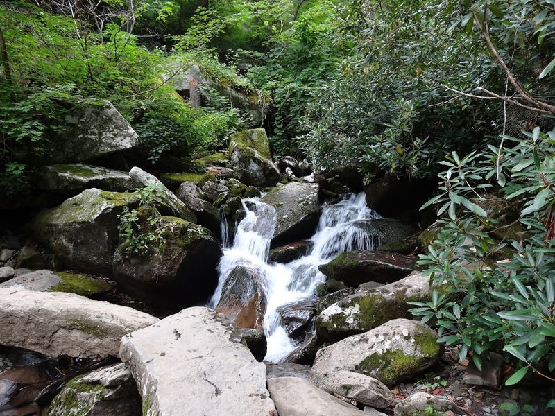 Rainbow Falls Trail – Great Smoky Mountains National Park Rainbow Falls Trail – Great Smoky Mountains National Park
