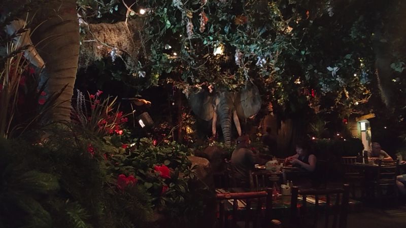Rainforest Cafe - Atlantic City