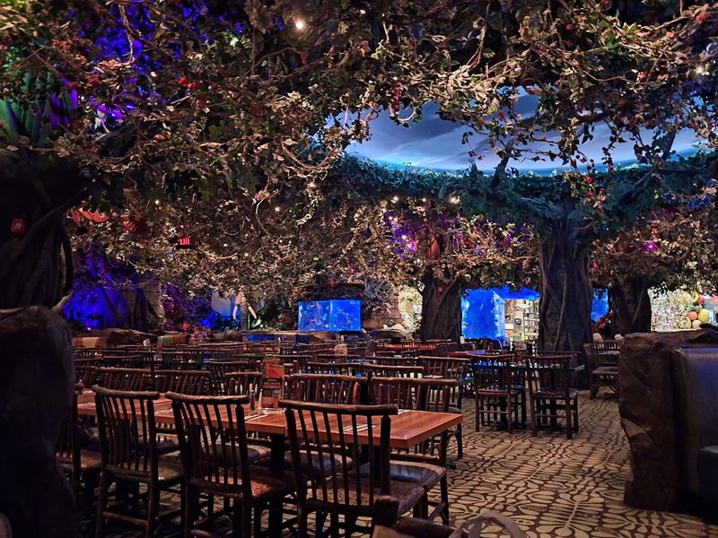 Rainforest Cafe Rainforest Cafe