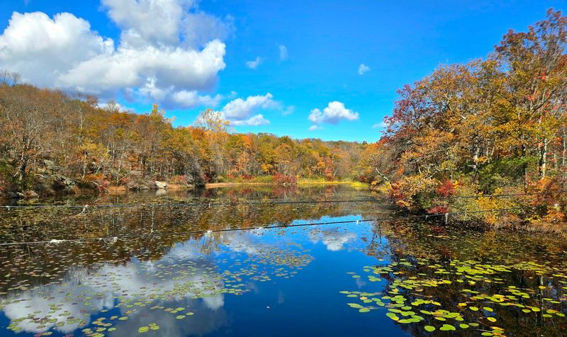 Ramapo Lake Spur, Castle, Cannonball, and Ramapo Lake Trail — Ramapo Mountain State Forest Ramapo Lake Spur, Castle, Cannonball, and Ramapo Lake Trail — Ramapo Mountain State Forest