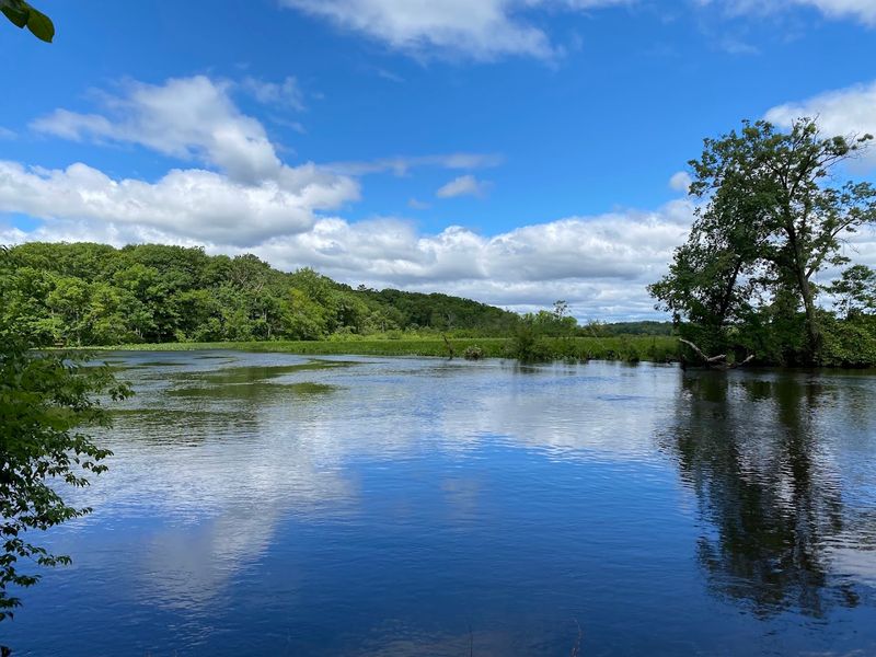 Rancocas Creek Winds Through Forests and a Freshwater Tidal Marsh
