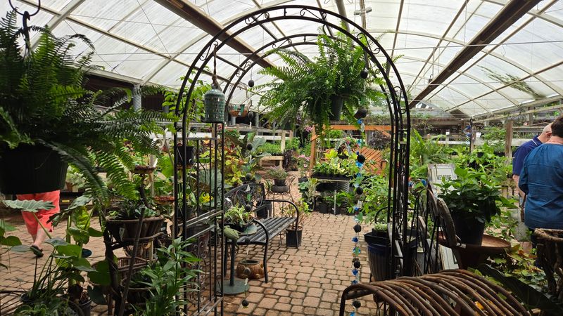 Rare Plant Finds That Big Box Stores Don't Carry