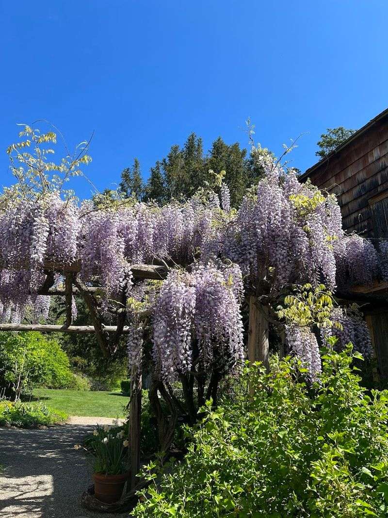 Rare Trees and Seasonal Blooms Give Nature Lovers Plenty to Chase Rare Trees and Seasonal Blooms Give Nature Lovers Plenty to Chase