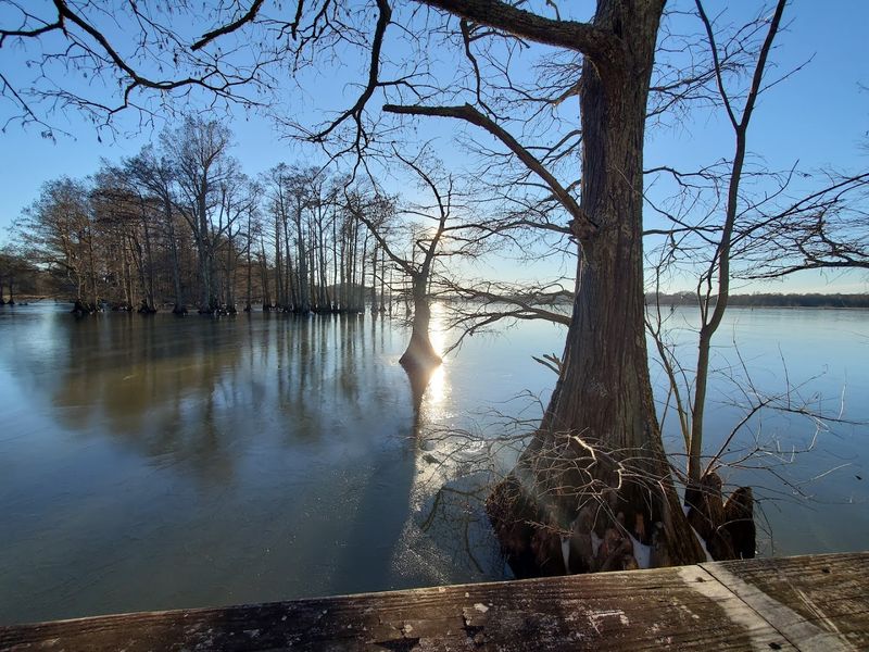 Reelfoot Lake State Park – Tiptonville