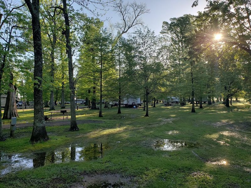 Reelfoot Lake State Park — Tiptonville