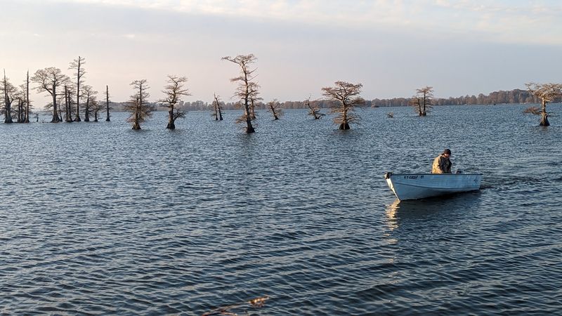 Reelfoot Lake State Park — Tiptonville Reelfoot Lake State Park — Tiptonville