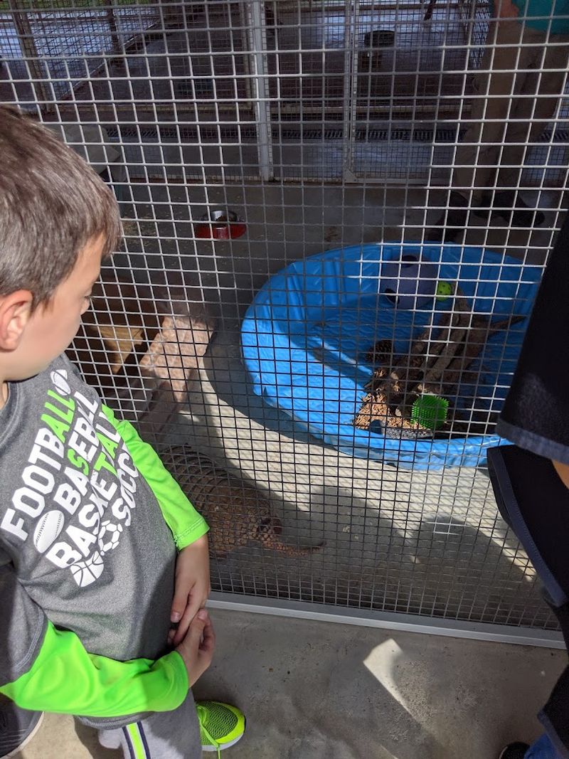 Reptile Encounters for the Brave Reptile Encounters for the Brave