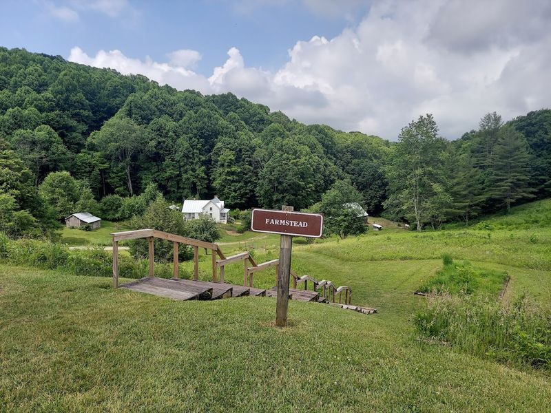 Roan Mountain State Park — Roan Mountain