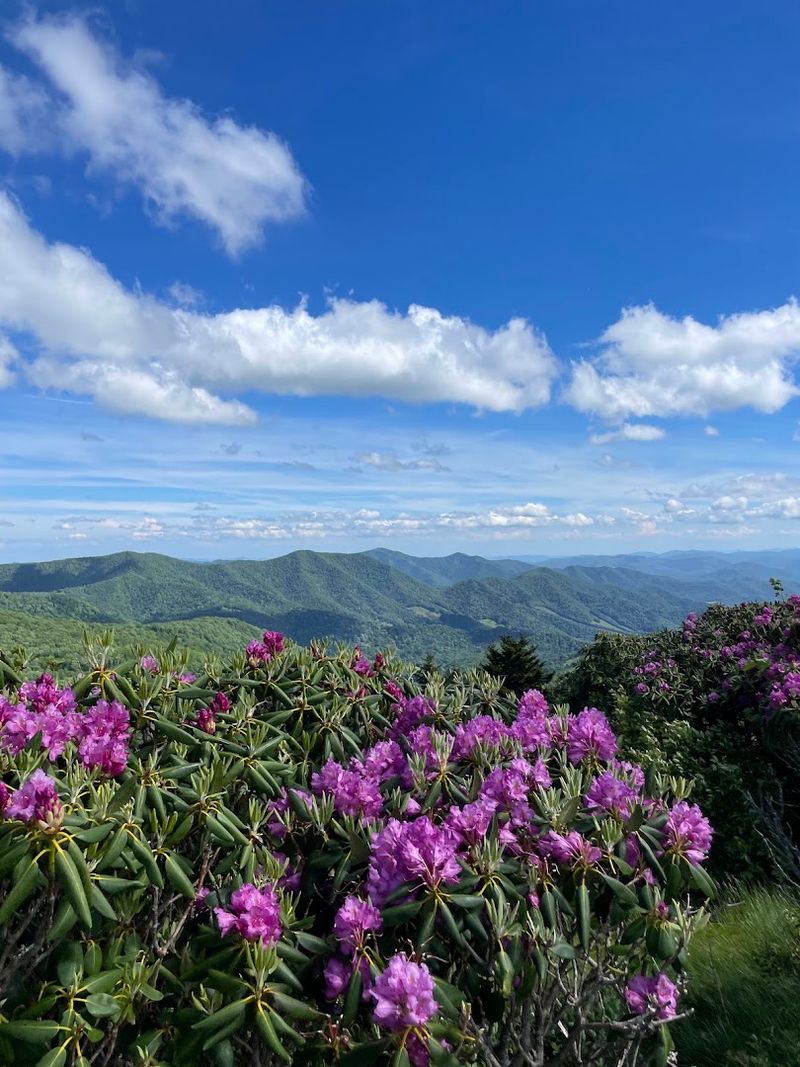 Roan Mountain State Park — Roan Mountain Roan Mountain State Park — Roan Mountain