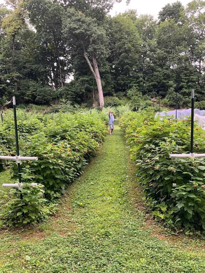 Rockywood Farm - Newton Rockywood Farm - Newton