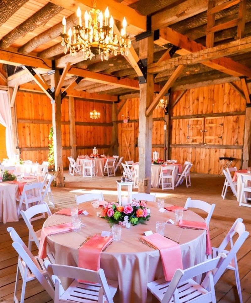 Romance, Celebrations, and Picnics in the Vines