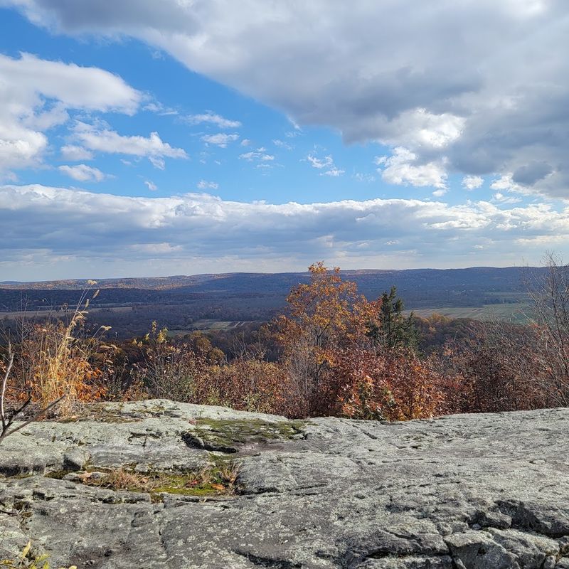Route 519 Through the Highlands - Hope, Jenny Jump State Forest, Newton, and Space Farms