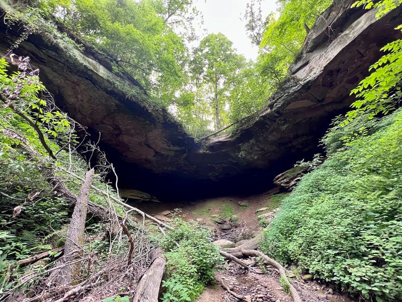 Salt Fork State Park, Lore City, Ohio Salt Fork State Park, Lore City, Ohio
